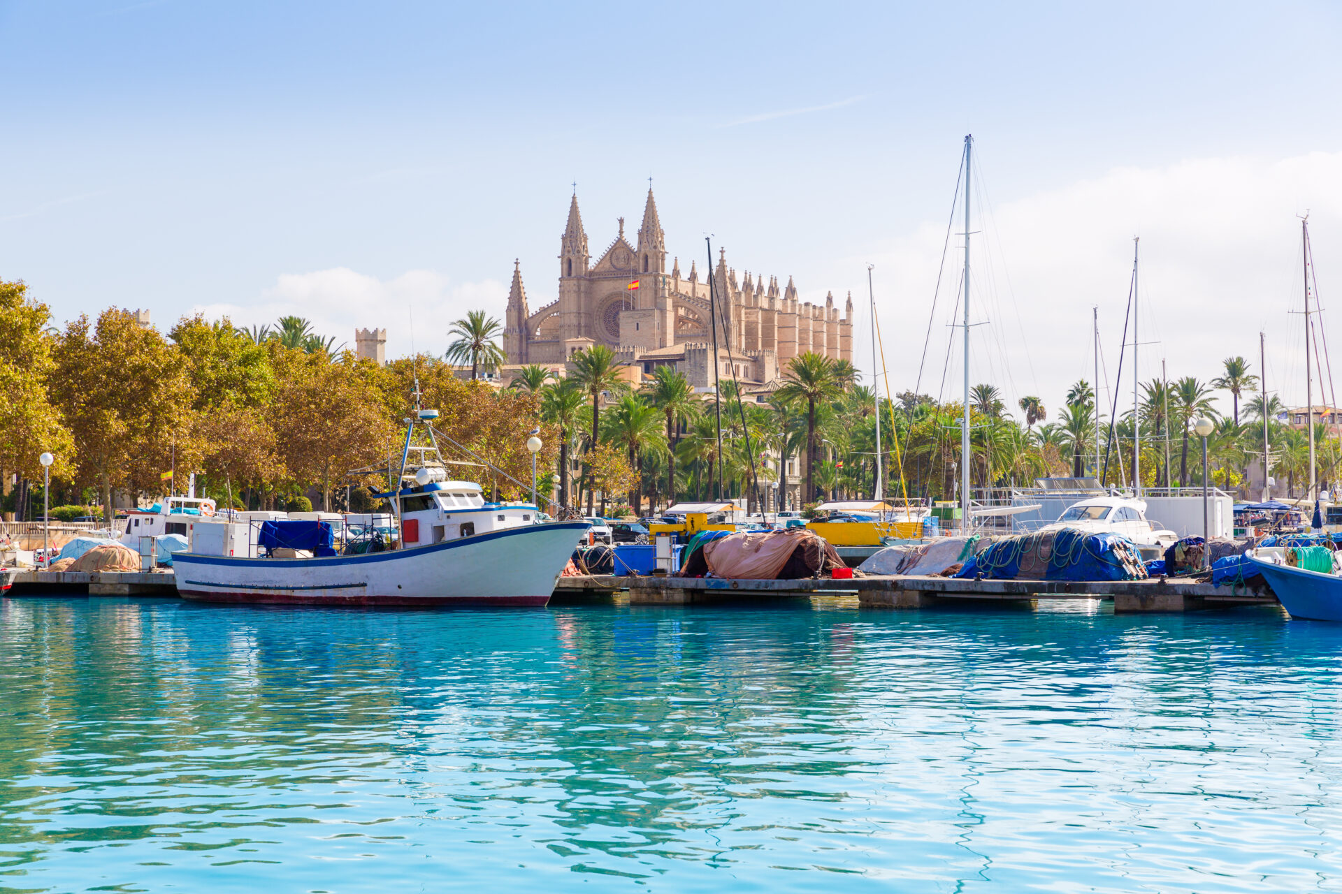 Cathedral of Majorca La seu from Palma de Mallorca