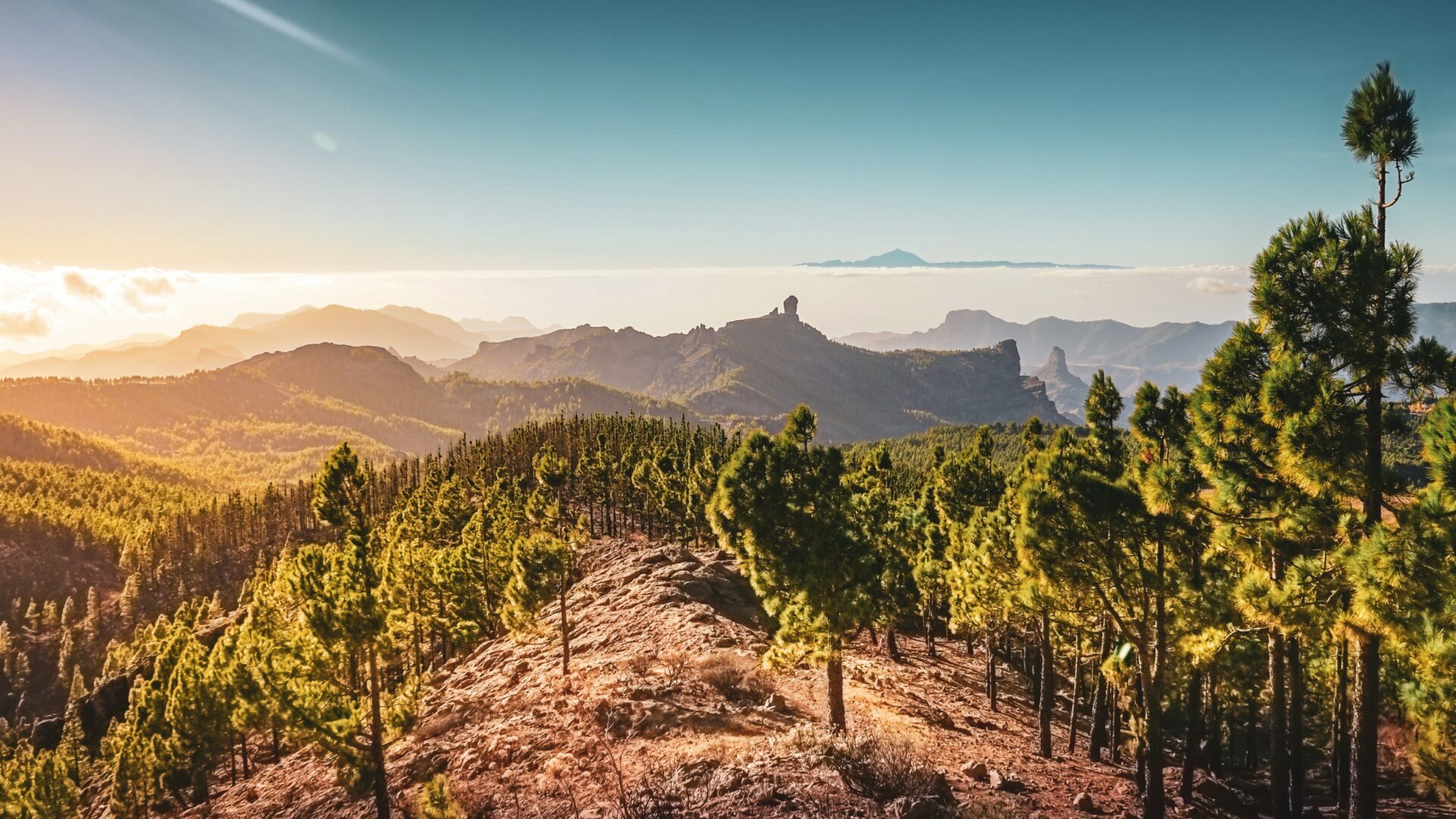 Pico de las Nieves, Wandern, Gran Canaria