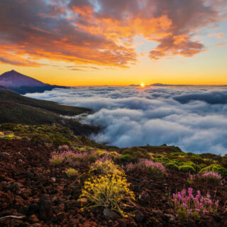 Teide volcano, Teneriffa Urlaubstipps, Pico del Teide