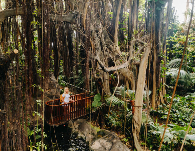 Jungle Park, Teneriffa