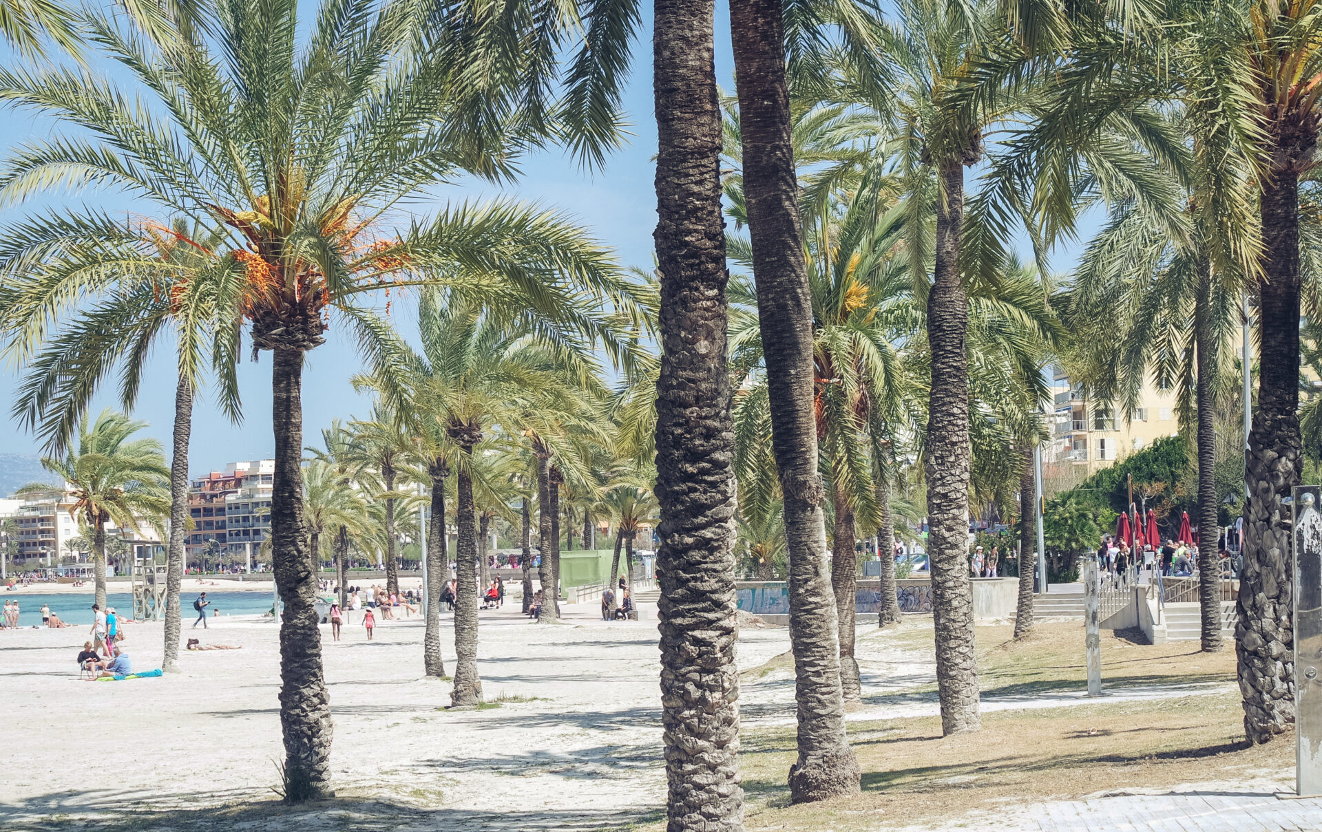 Playa de Palma