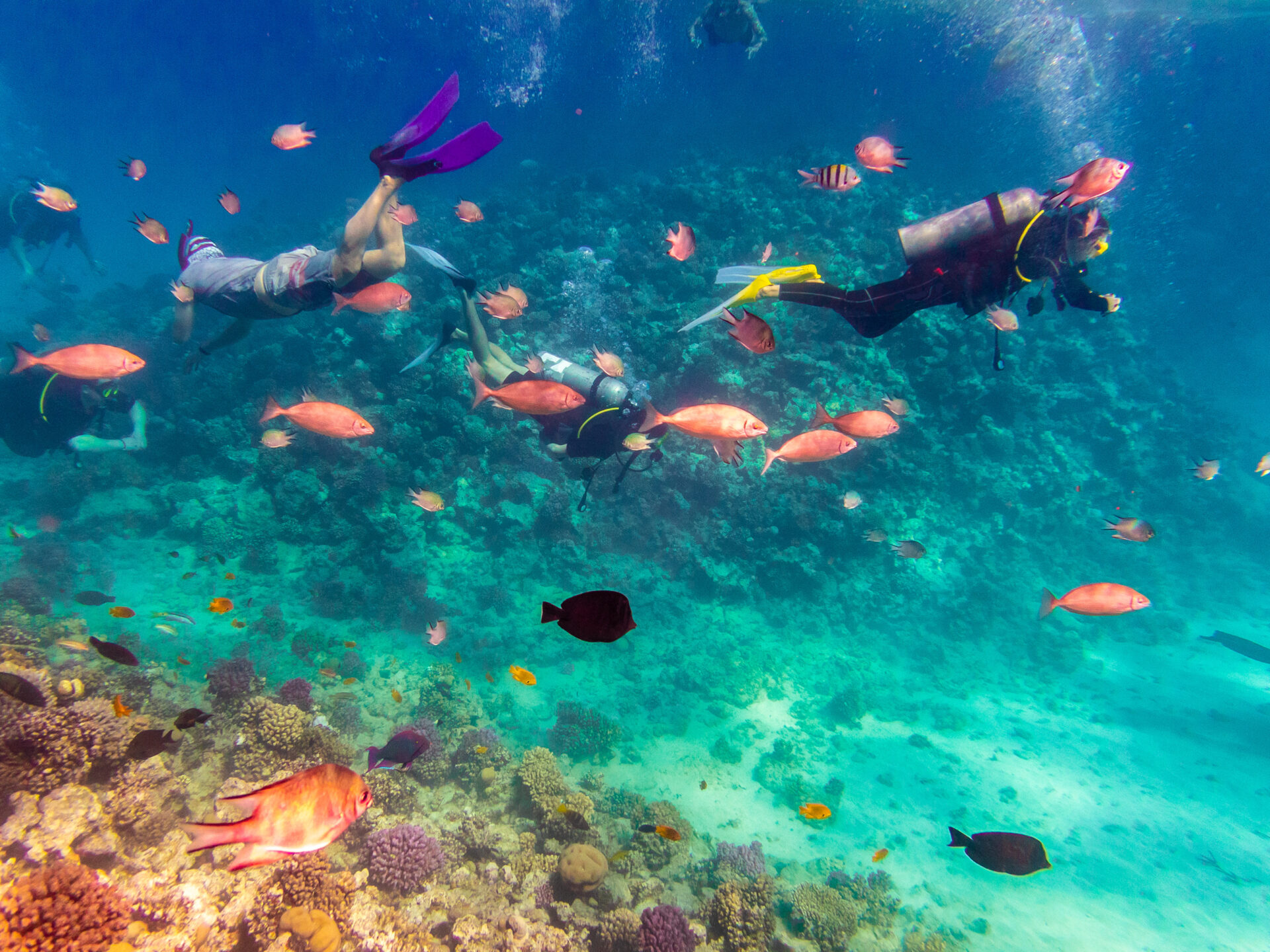 Tauchen in der Unterwasserwelt von Ägypten