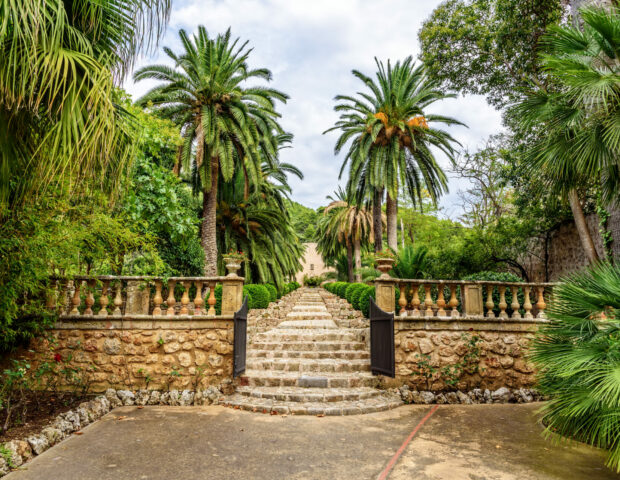 Botanischer Garten in Sóller