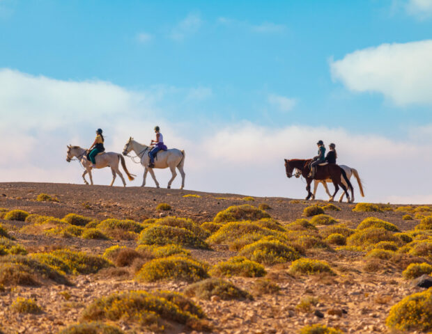 Reiten, Fuerteventura, Reiten auf Fuerteventura