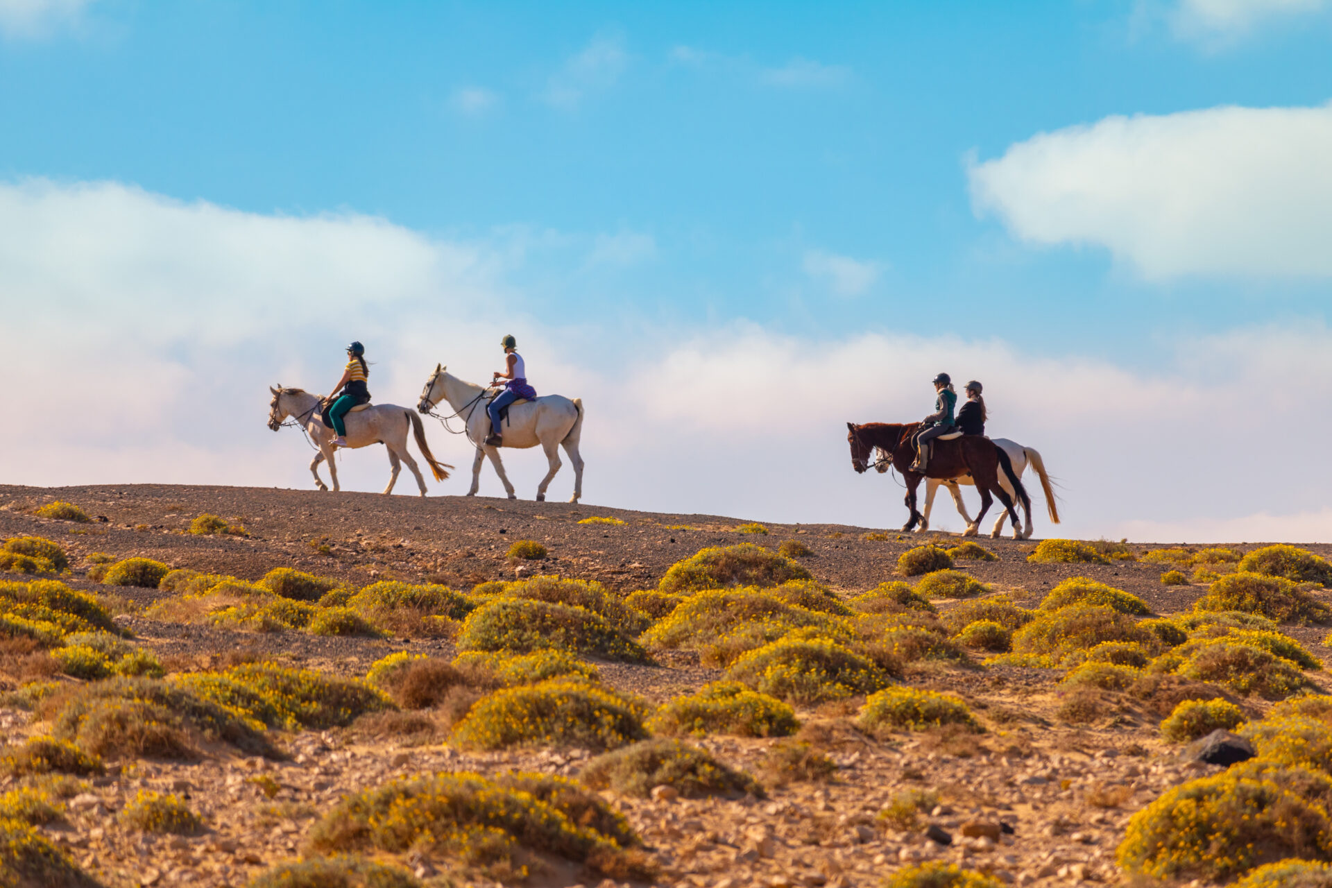 Reiten, Fuerteventura, Reiten auf Fuerteventura