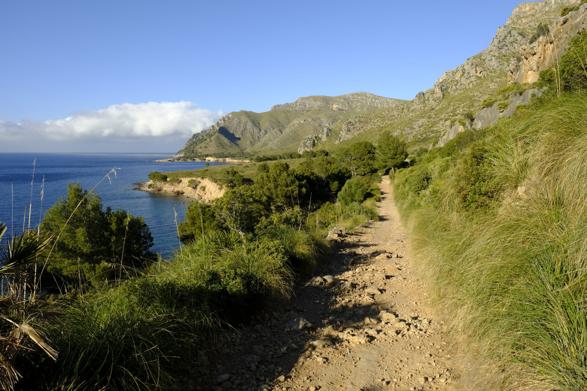Parque Natural de la Peninsula de Llevant, Mallorca