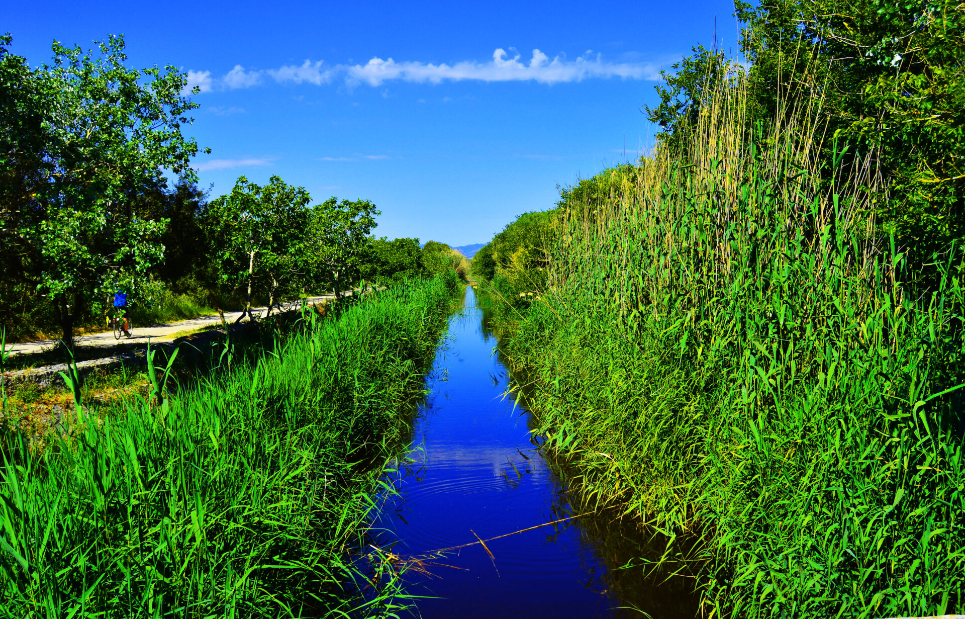 Naturpark auf Mallorca: Naturreservat S'Albufera, Mallorca