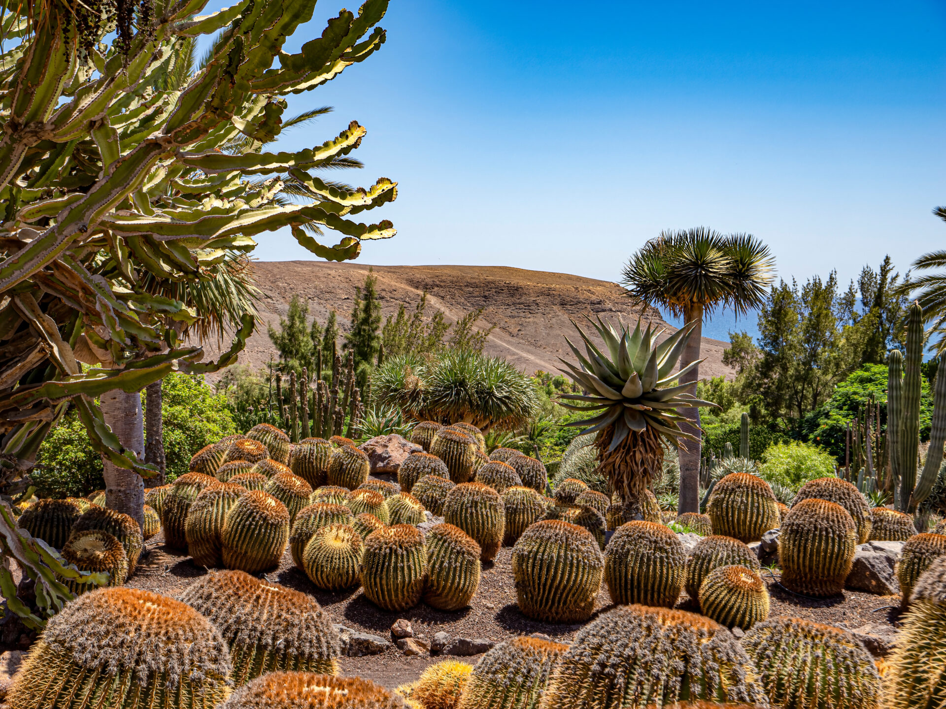 Oasis Park, Fuerteventura