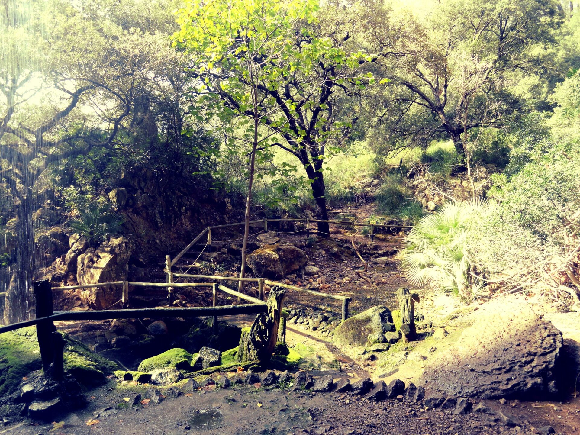 Naturpark "La Reserva", Mallorca