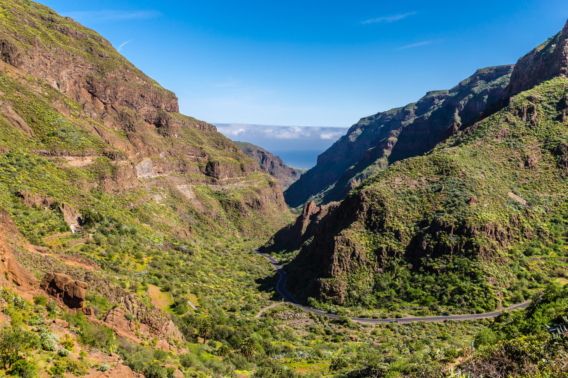 Barranco de Guayadeque auf Gran Canaria