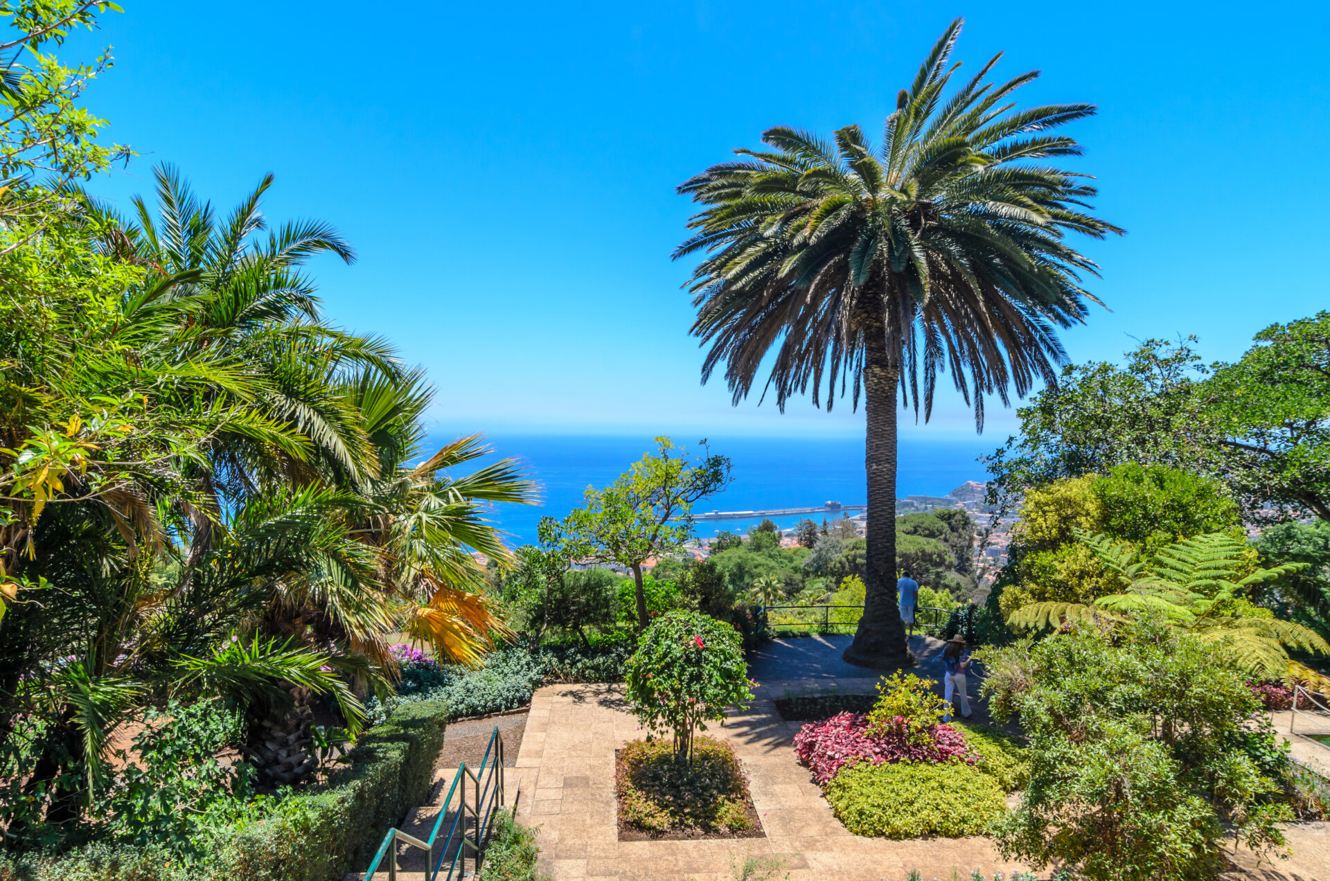 Botanischer Garten Madeira: eine Oase oberhalb von Funchal