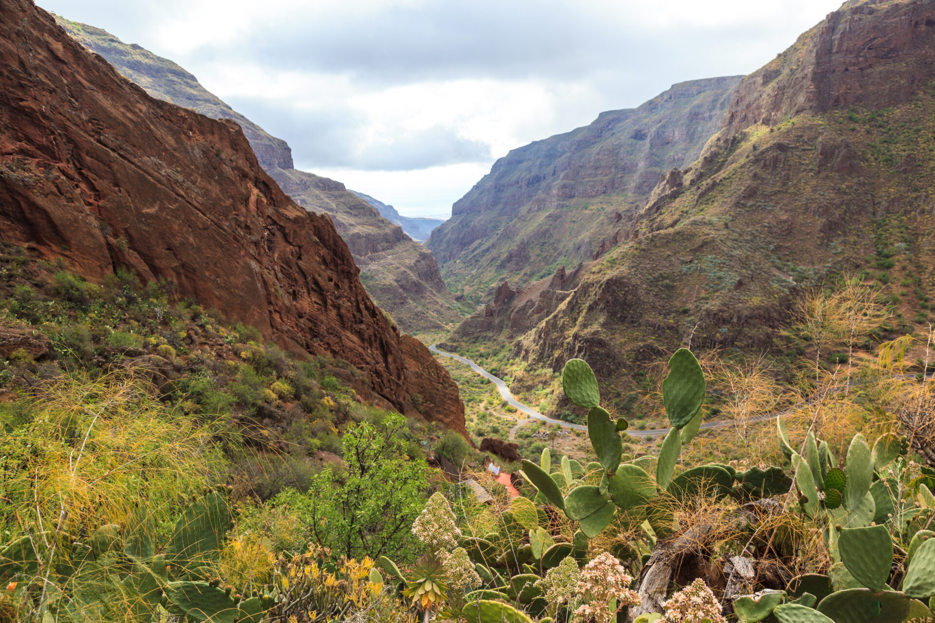 Barranco de Guayadeque