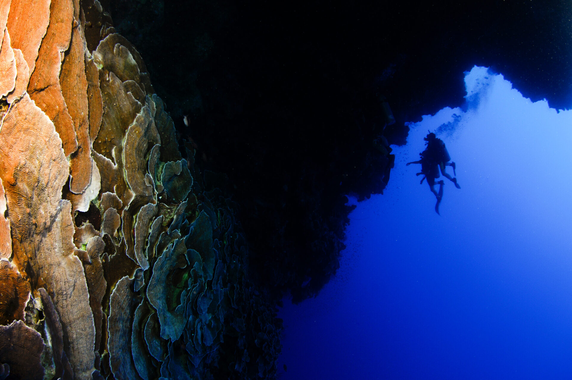 Blue Hole, Dahab