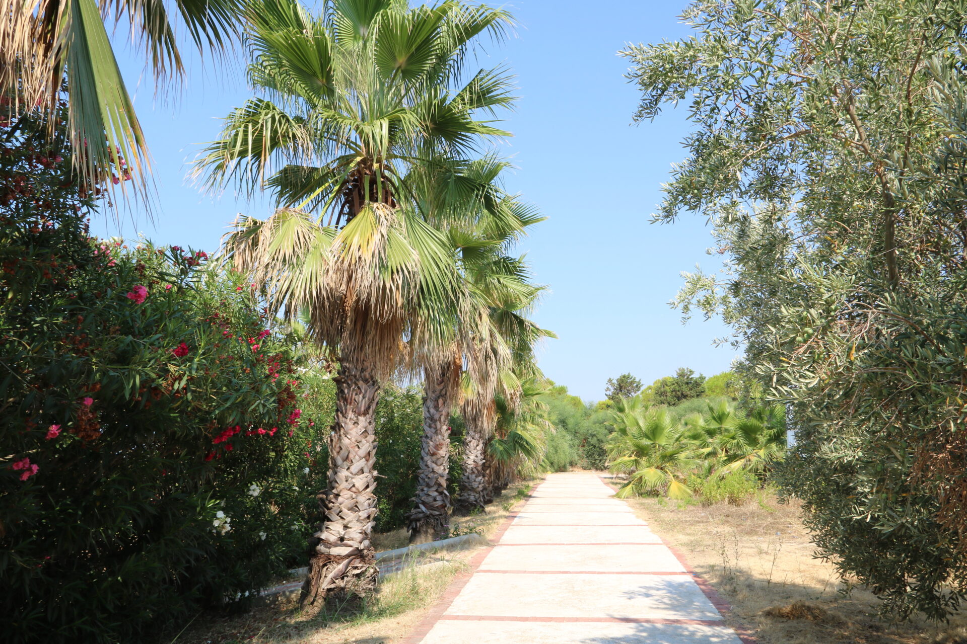 Side Türkei Urlaub die besten Tipps & Aktivitäten Ferienknaller