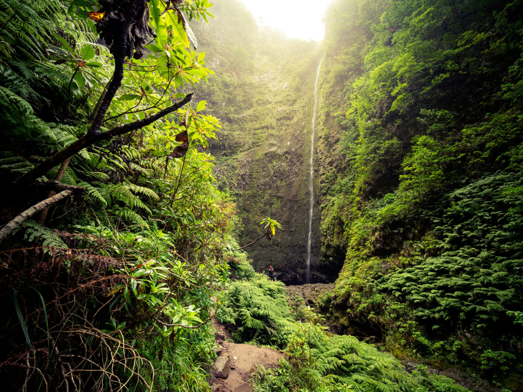 Madeira, Caldeirão Verde