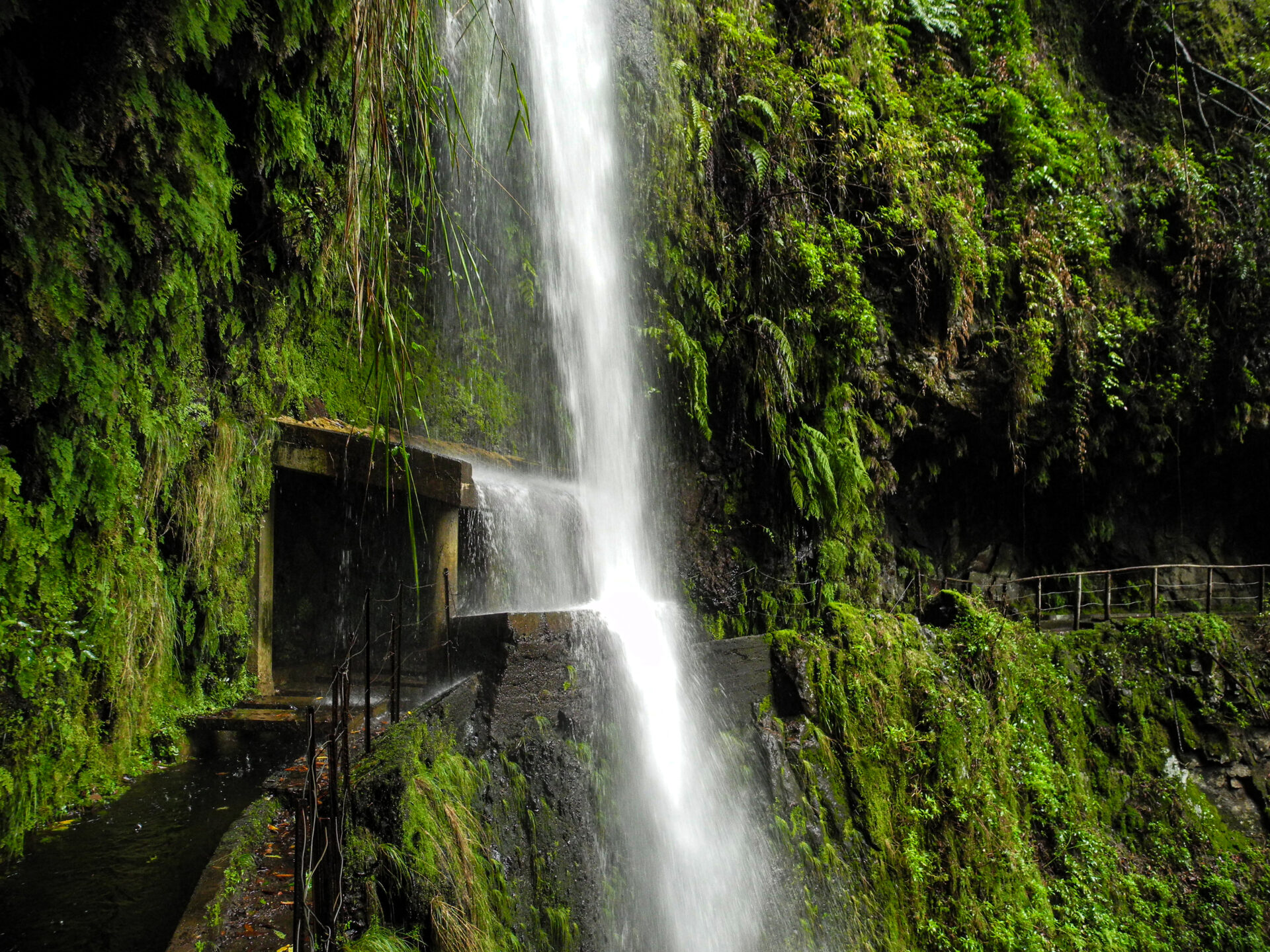 Levada da Ribeira da Janela