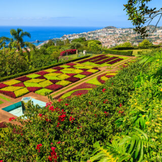 Monte tropical gardens in Funchal