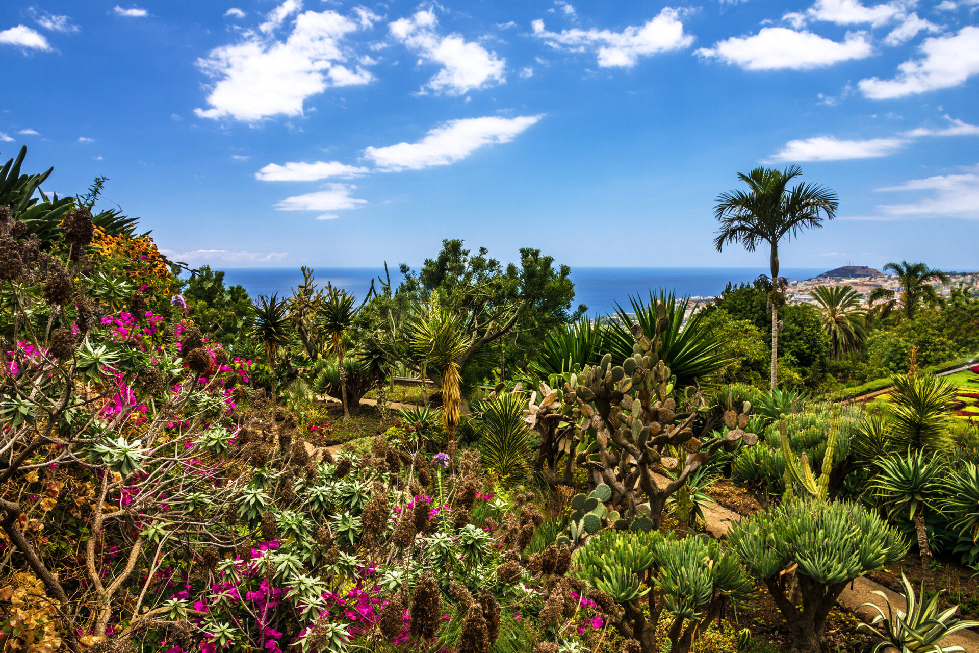 Panorama im Botanischen Garten auf Madeira