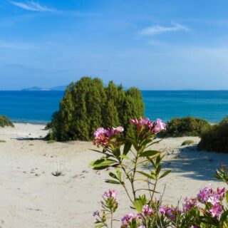 Paradise Beach, Kos