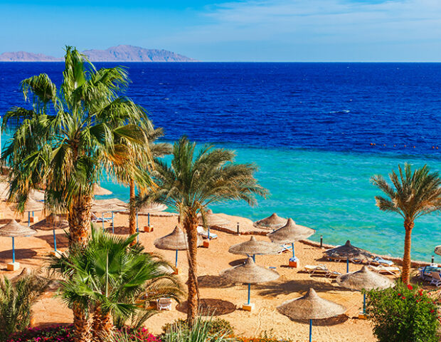Urlaub in Ägypten, Palmen am Strand