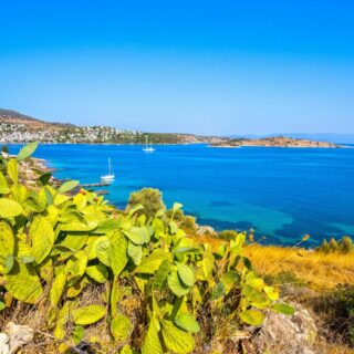 Torba Beach, Bodrum