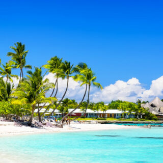 Coconut Palm trees on white sandy beach in Dominican Republic
