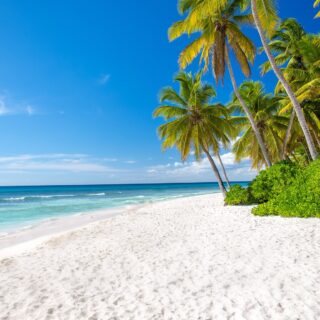 Leerer traumstrand in der dominkanischen republik auf saona