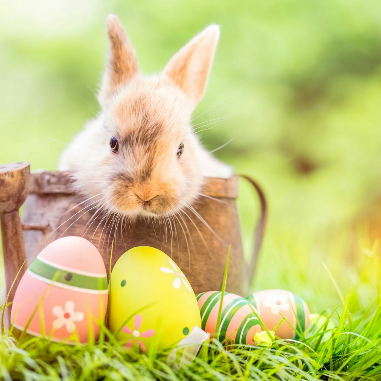 Ostern