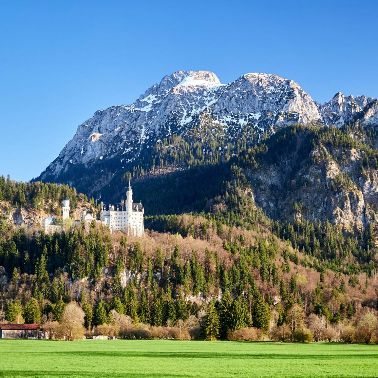 Schloss Neuschwanstein