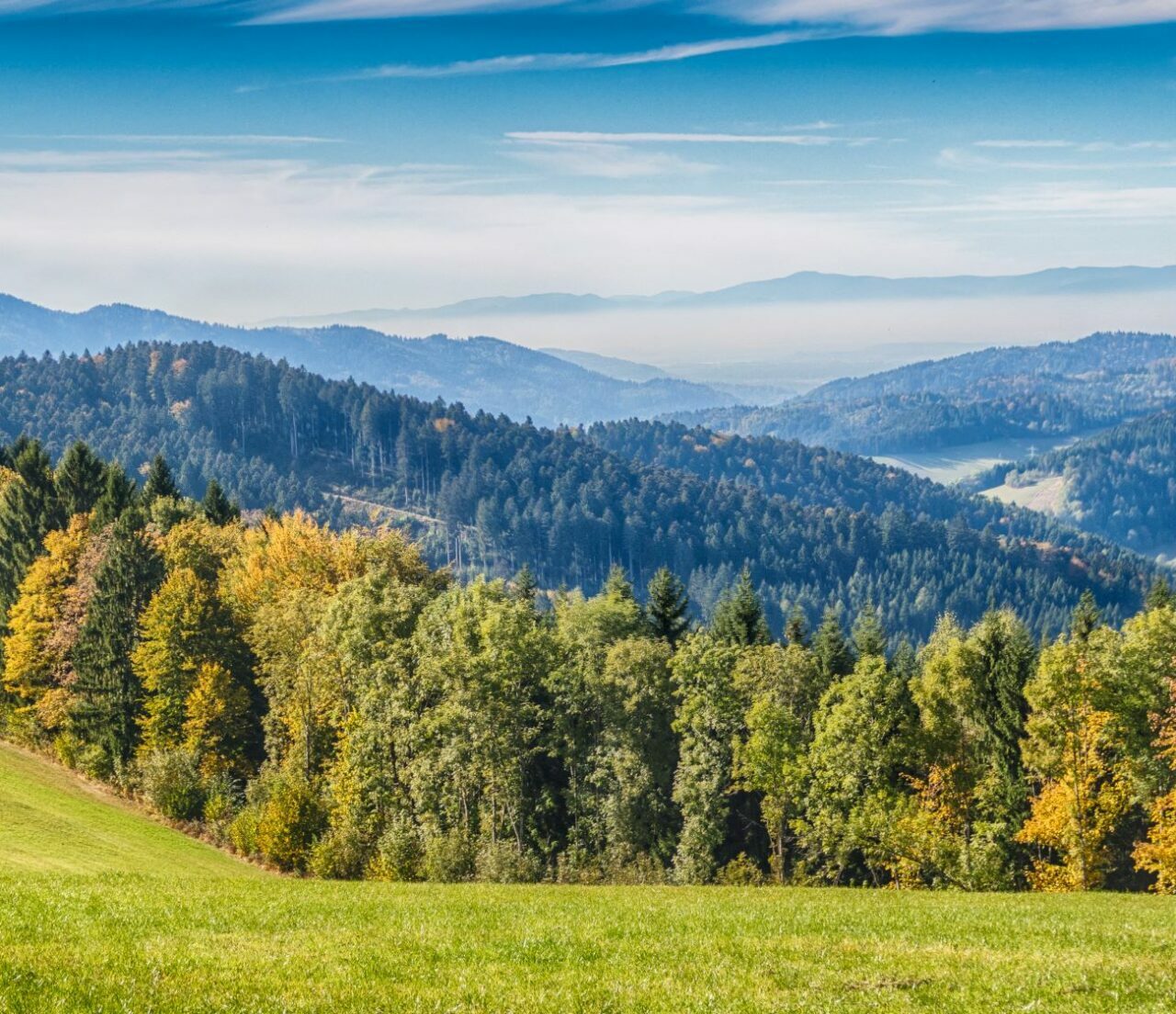 Schwarzwald