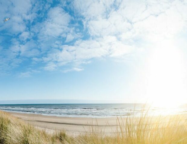 Dünenlandschaft Deutsche Küste, TOP 11 Strände in Deutschland