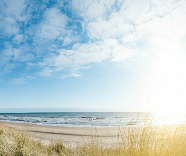 Dünenlandschaft Deutsche Küste, TOP 11 Strände in Deutschland