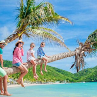 Familie auf Palme im Urlaub
