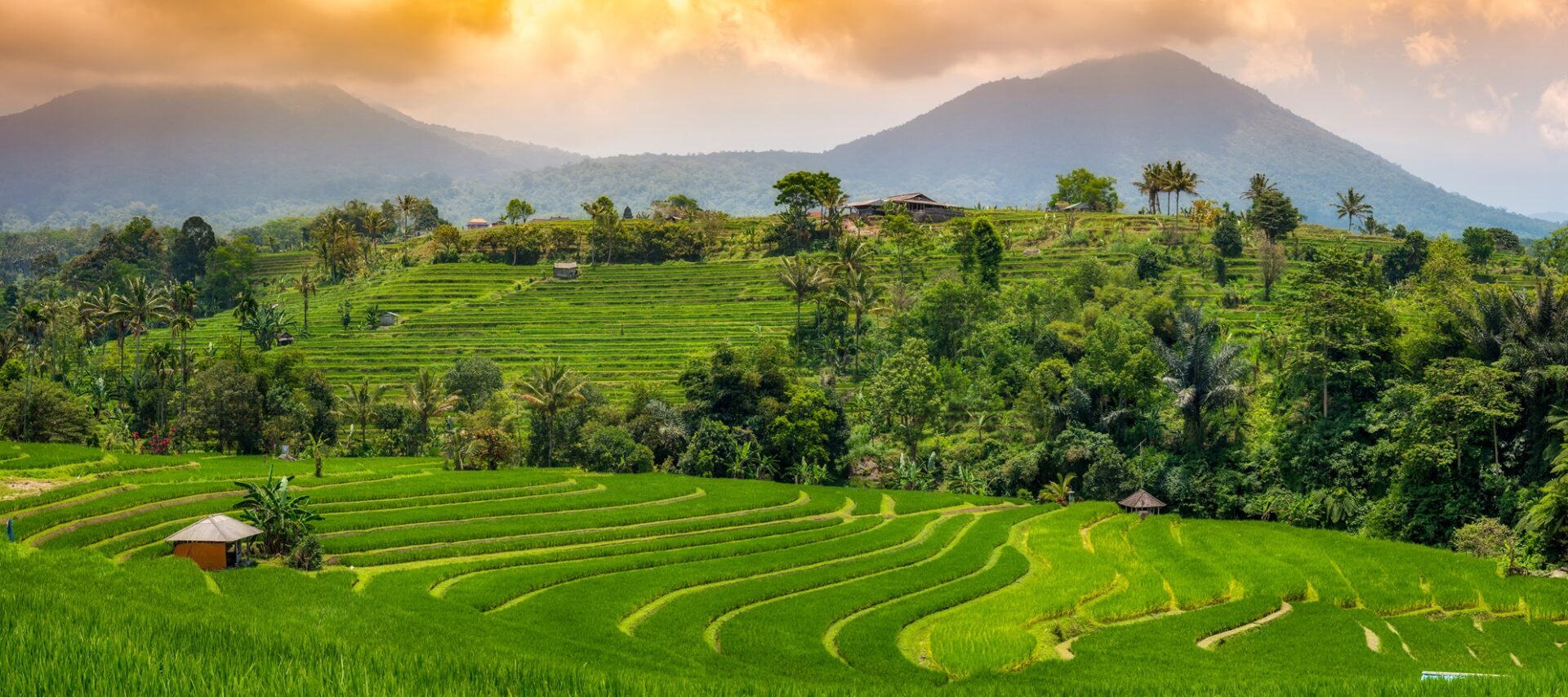 Reisterrassen von Jatiluwih auf Bali