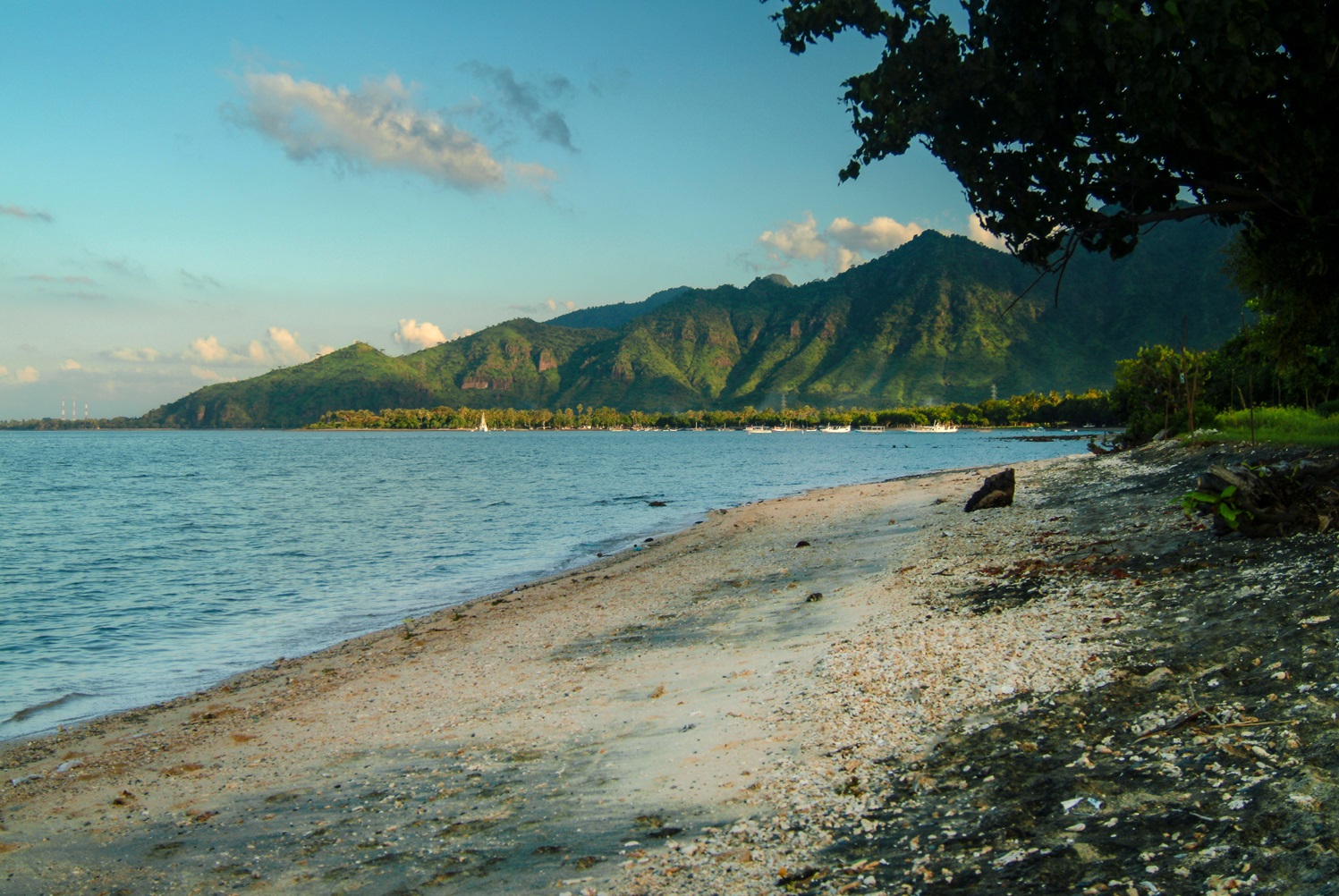 Nationalpark Bali Barat