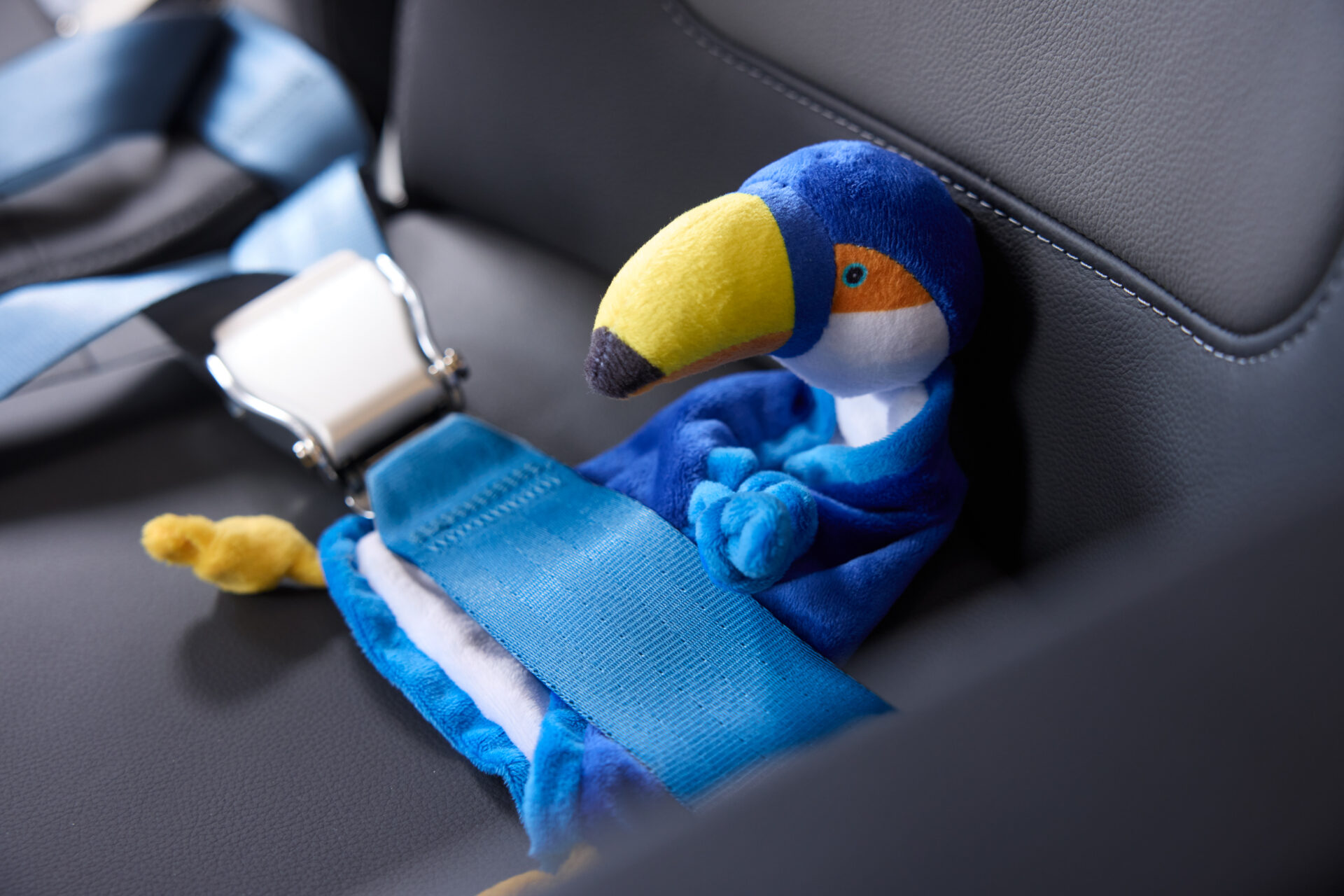 Tukan auf Sitzplatz im Discover Flieger