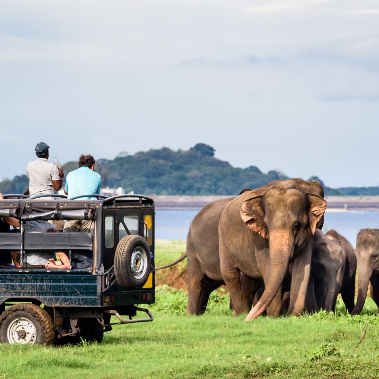 Yala Nationalpark