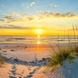 Urlaub an der Nordsee, Dünen mit Blick aufs Meer
