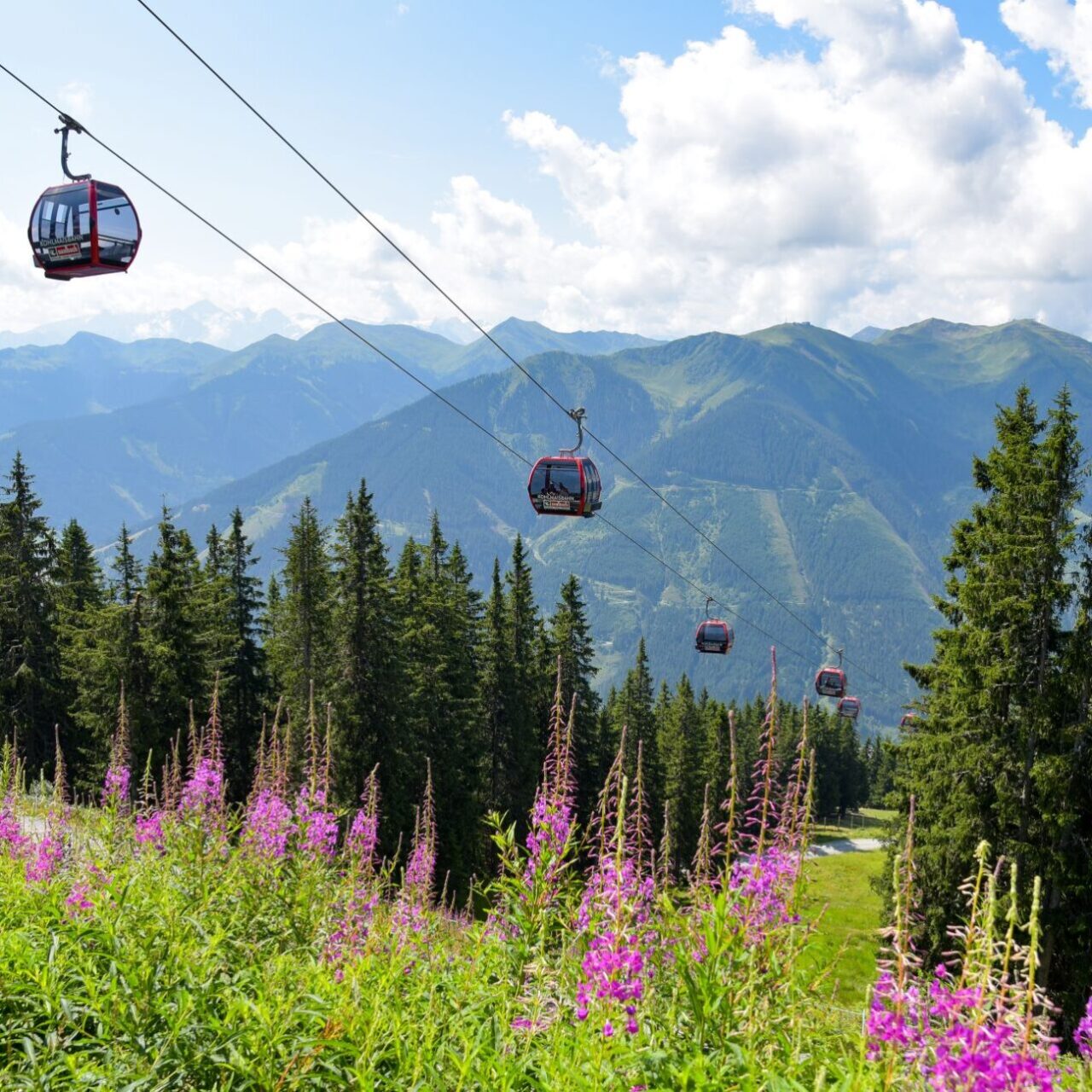 Salzburger Land, Urlaubsregion Saalbach