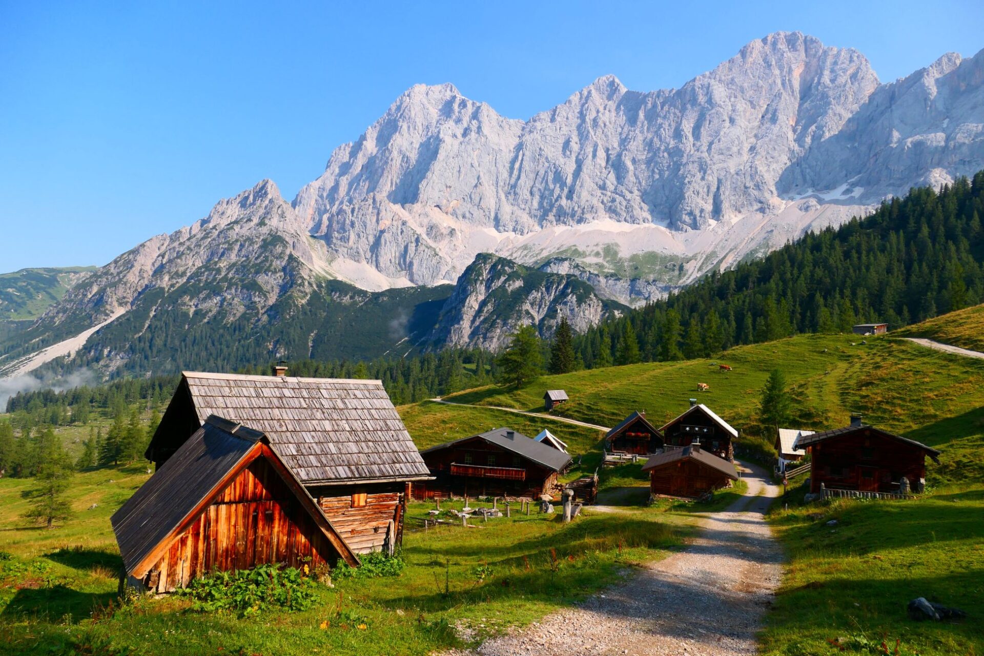Steiermark, Dachstein