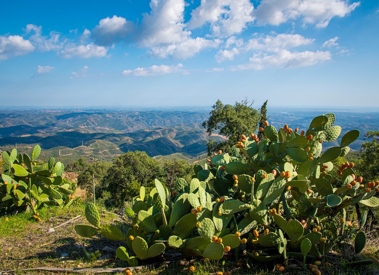 Serra de Monchique