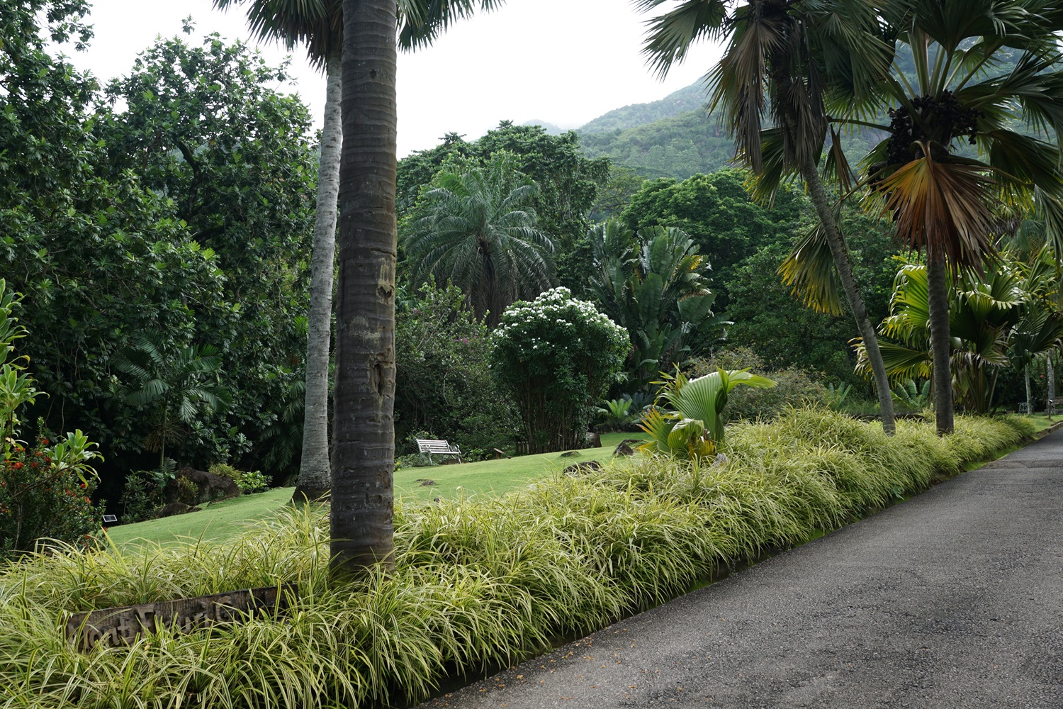 Botanischen Garten, Mont Fleuri, Mahé, Seychellen