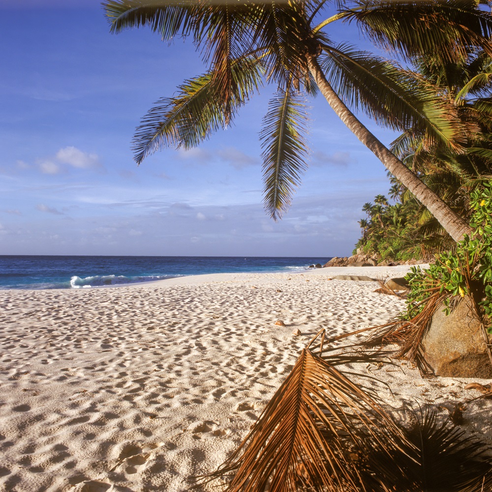 Seychelles, Frégate Island, Anse Victorin